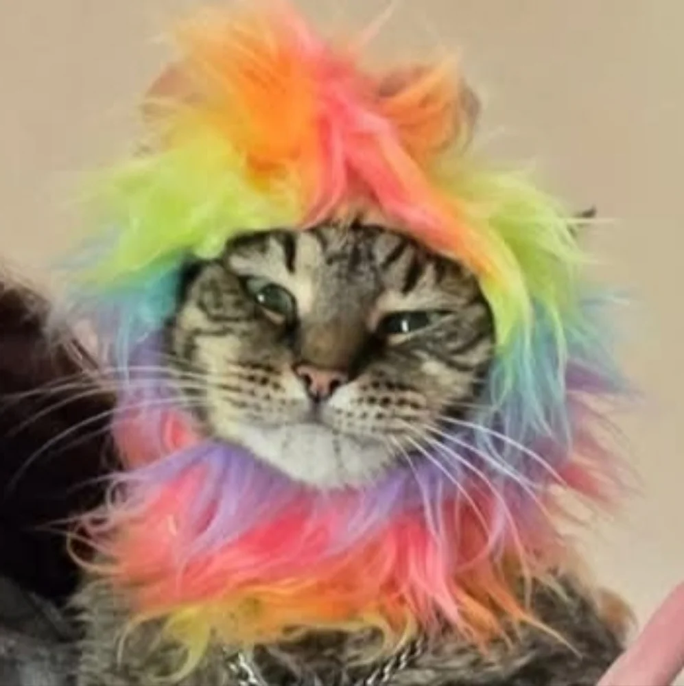 2 costumes for cats